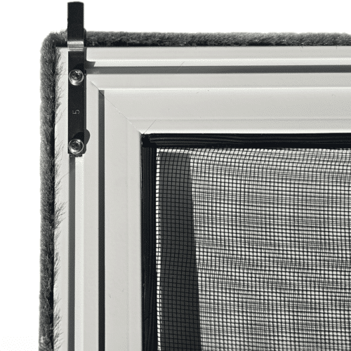 Portfolio Taxonomy Image